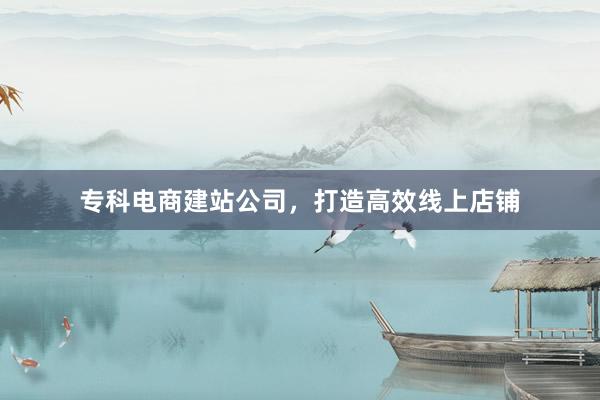 专科电商建站公司，打造高效线上店铺