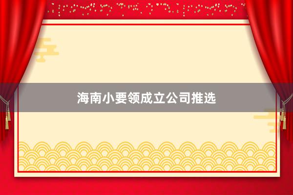 海南小要领成立公司推选