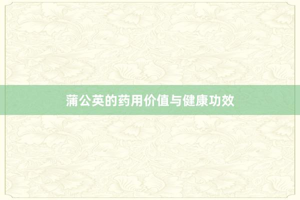 蒲公英的药用价值与健康功效