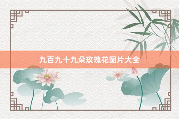 九百九十九朵玫瑰花图片大全